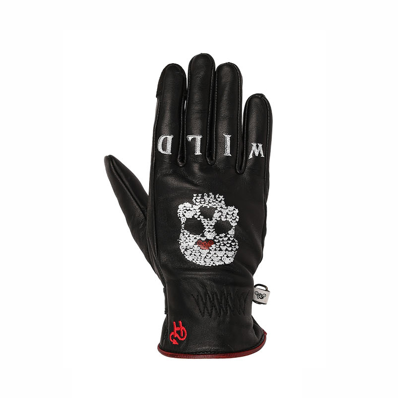 Daisy on the Ohoopee